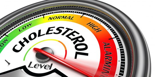 cara mencegah kolesterol tinggi